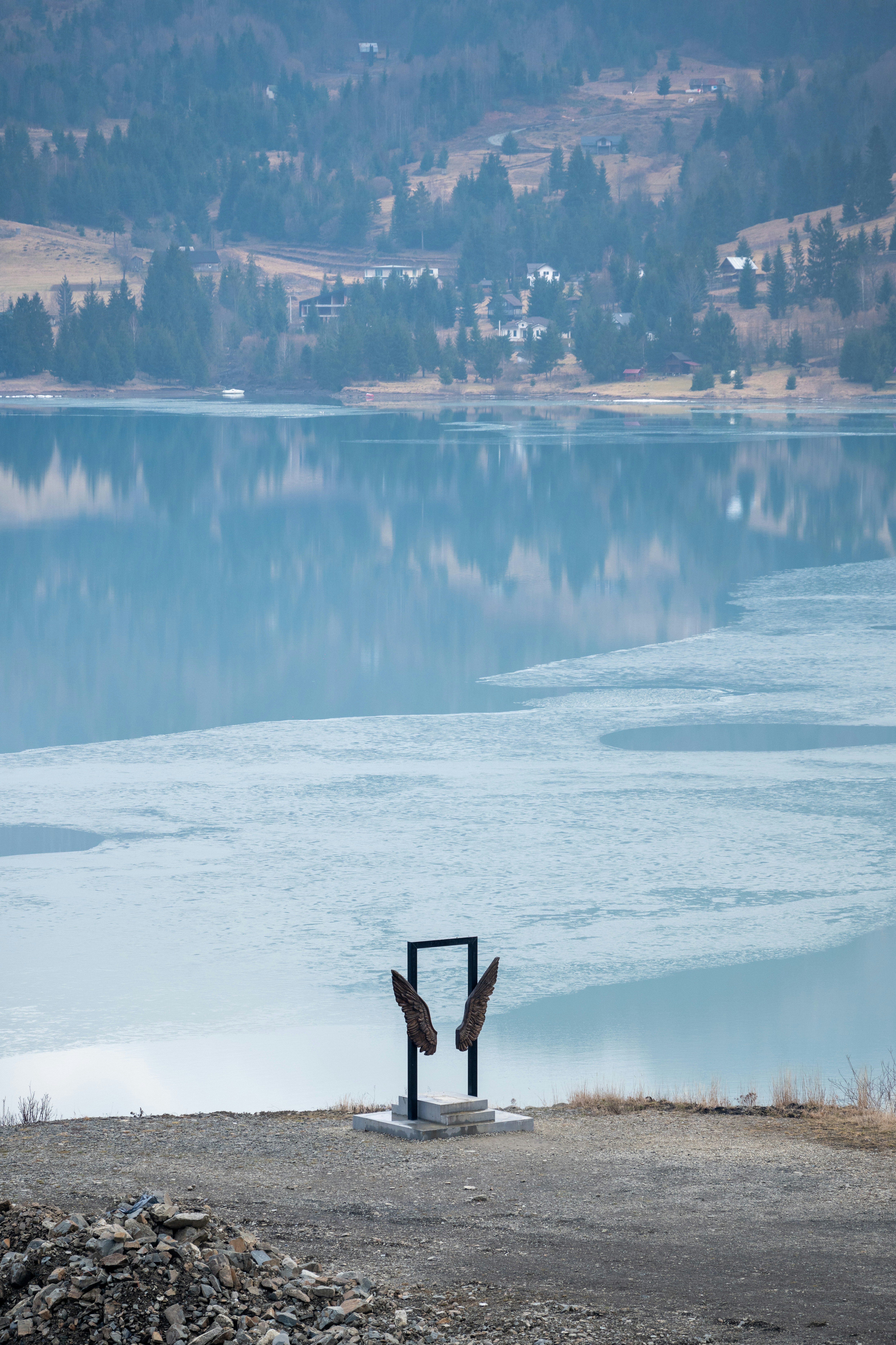 a large body of water sitting next to a forest