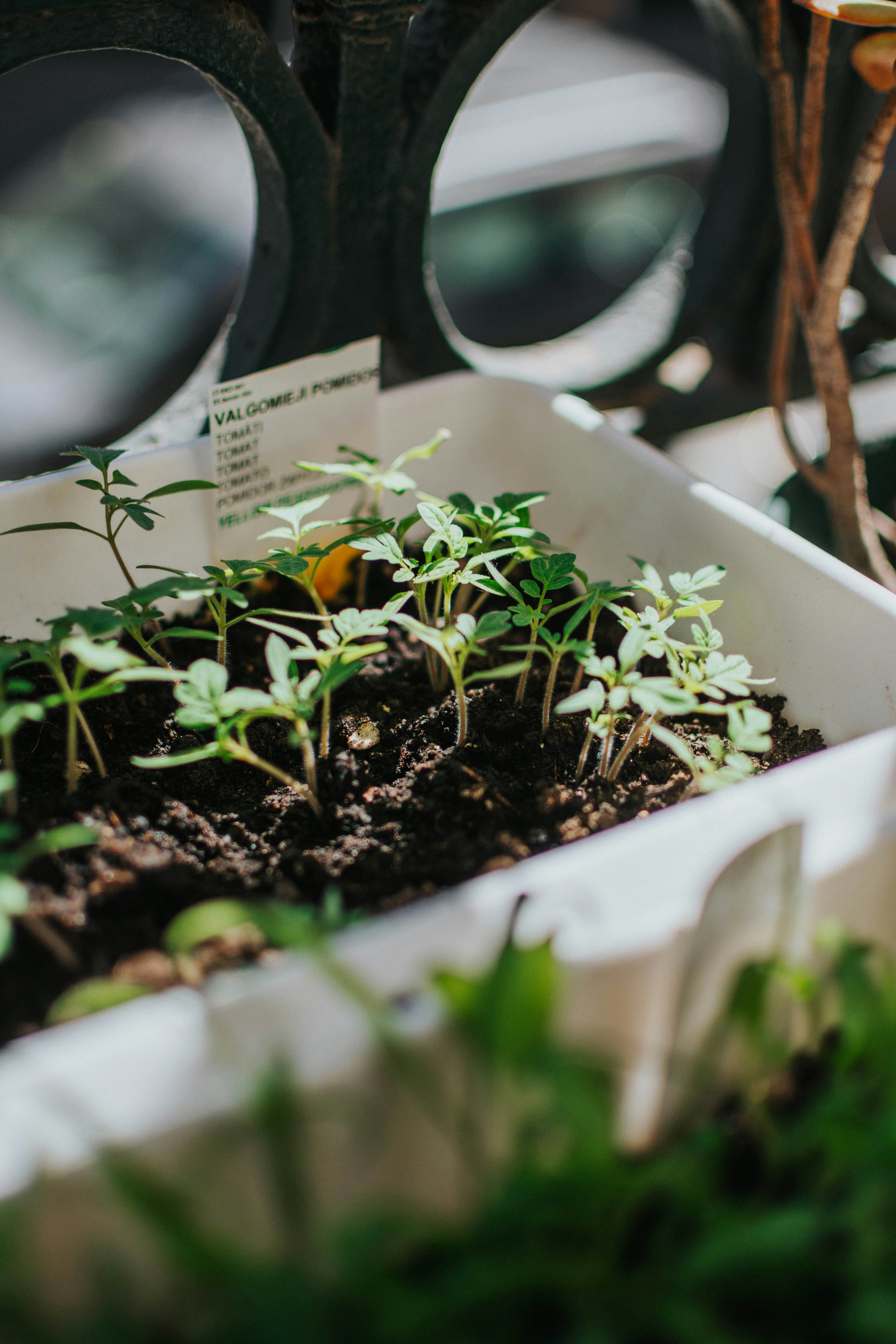 Photo by pillepriske