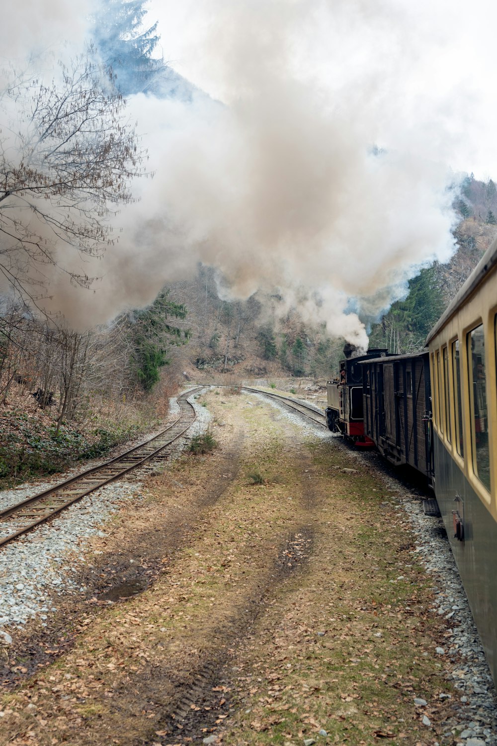 a train traveling down train tracks next to a forest