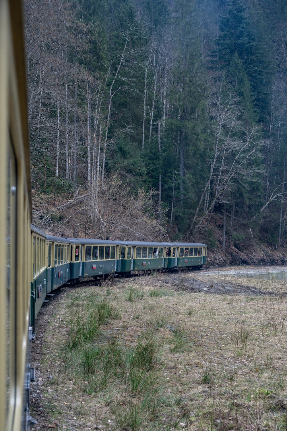 a green and yellow train traveling through a forest