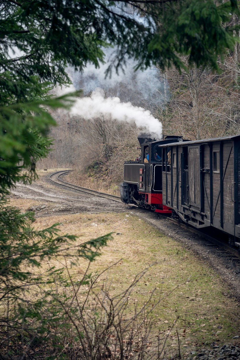 a train traveling down train tracks next to a forest