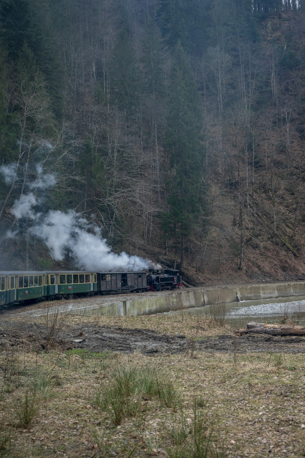 a train traveling through a forest filled with trees