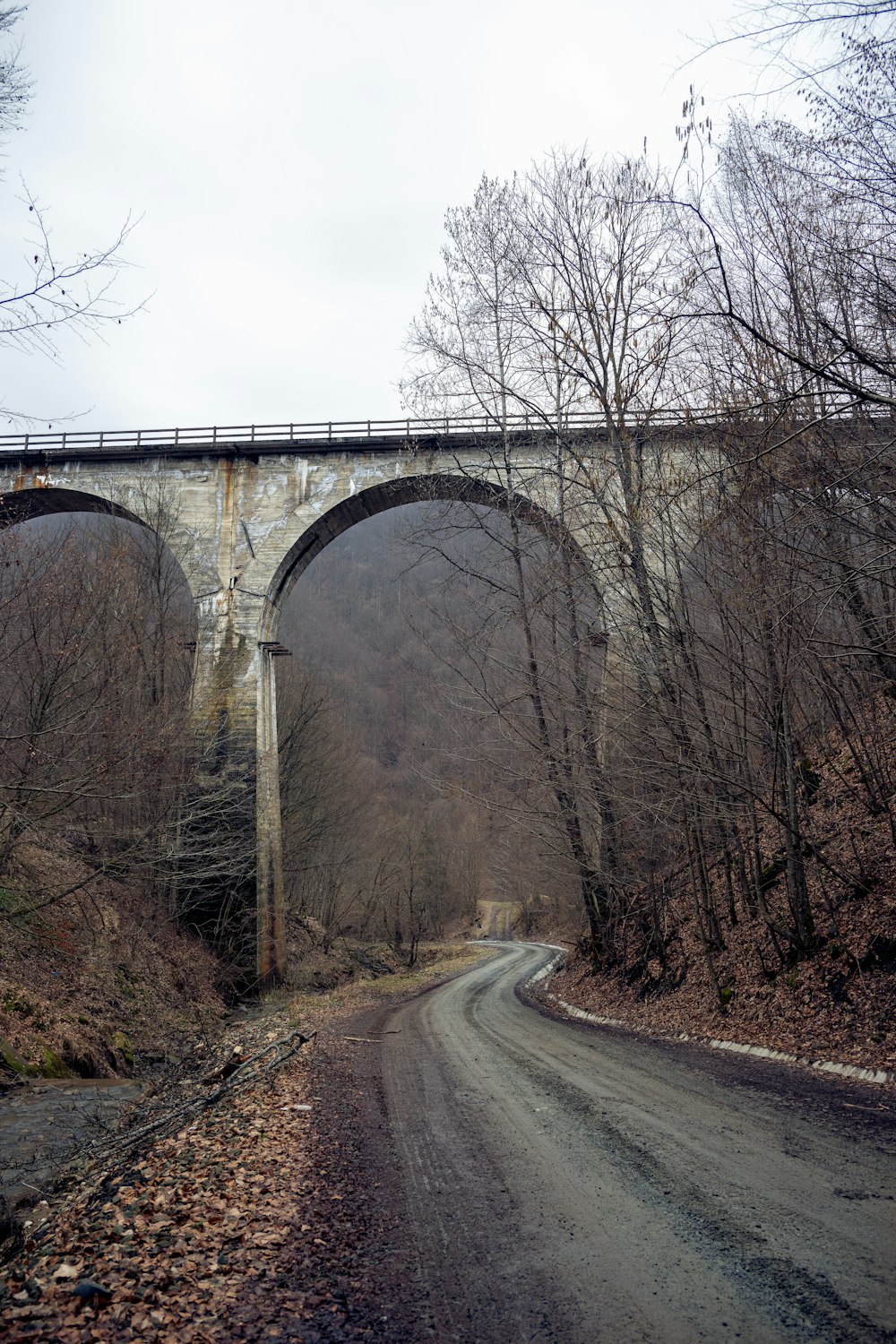 a bridge over a dirt road in a wooded area