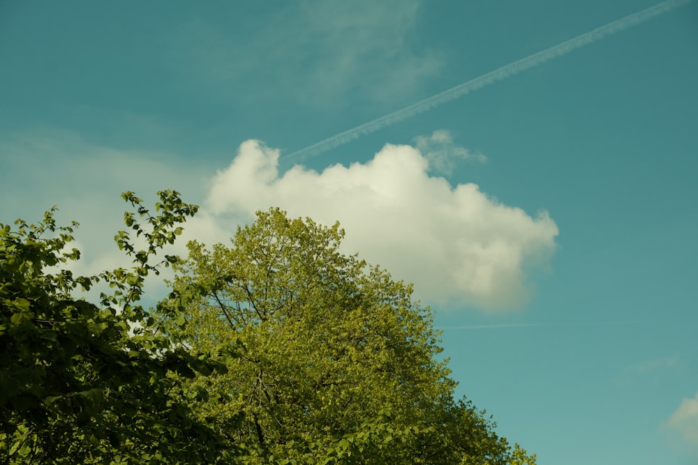 a plane flying in the sky over some trees