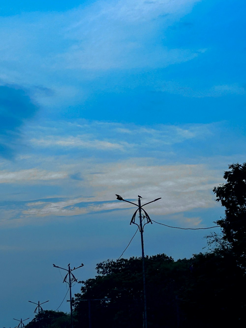 a couple of birds sitting on top of power lines