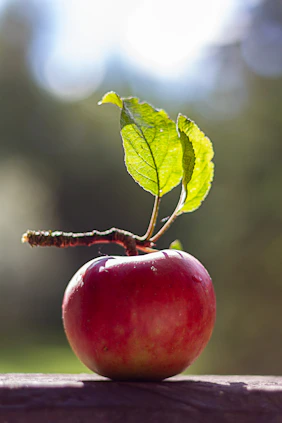 a red apple sitting on top of a wooden table