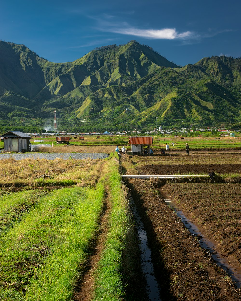 un campo agricolo con una casa e montagne sullo sfondo