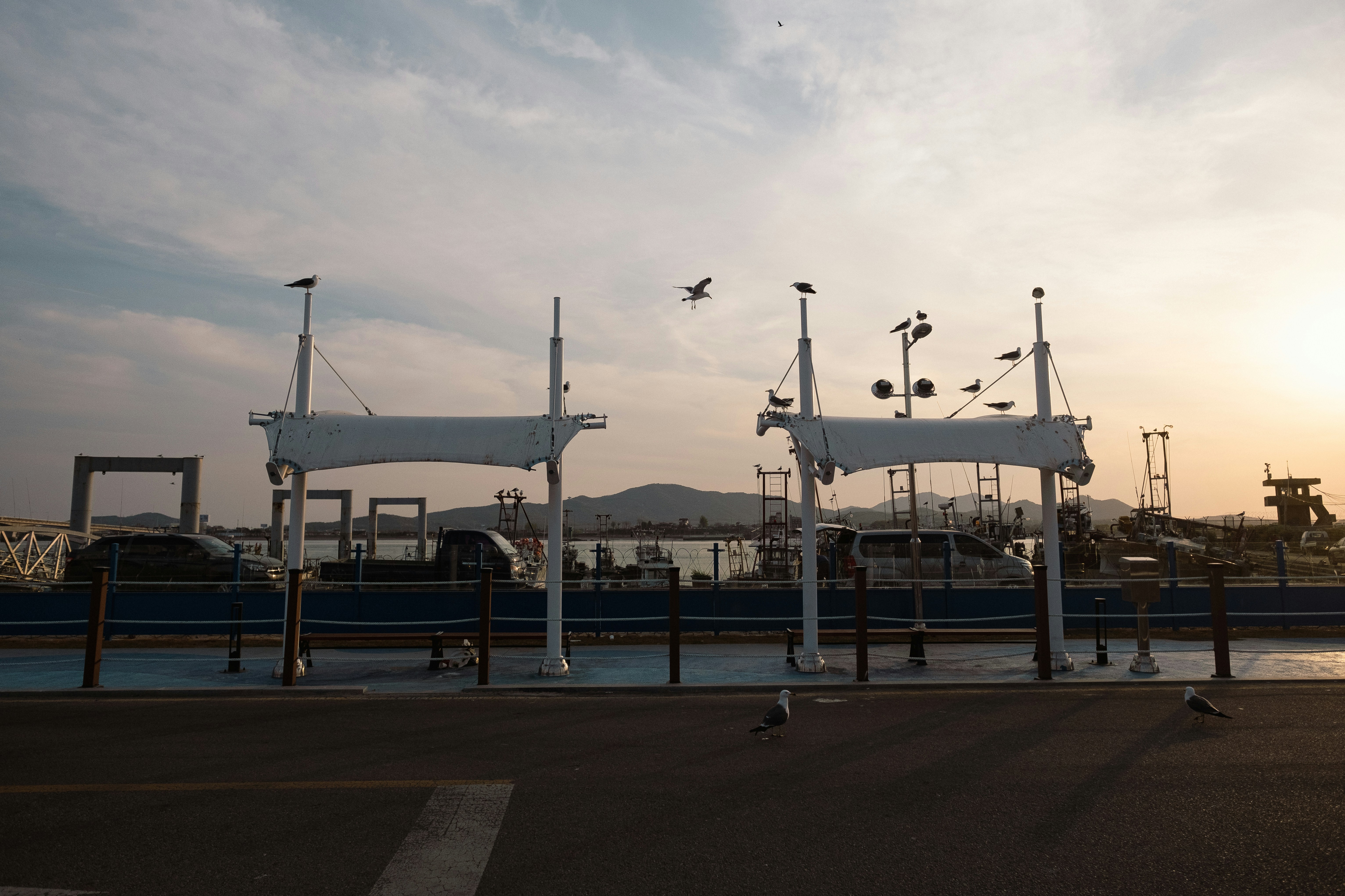 Photo by the1stcircle