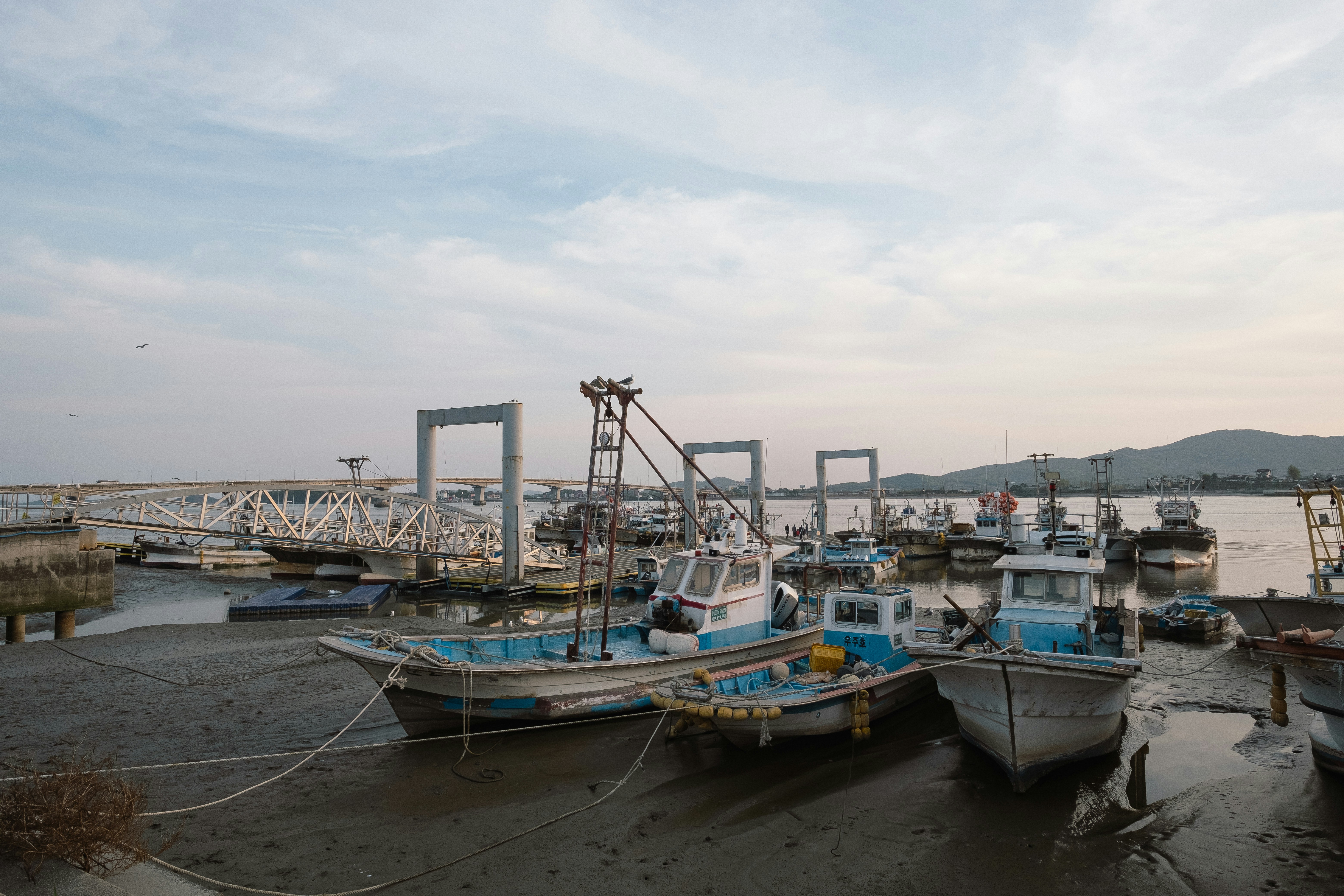 Photo by the1stcircle