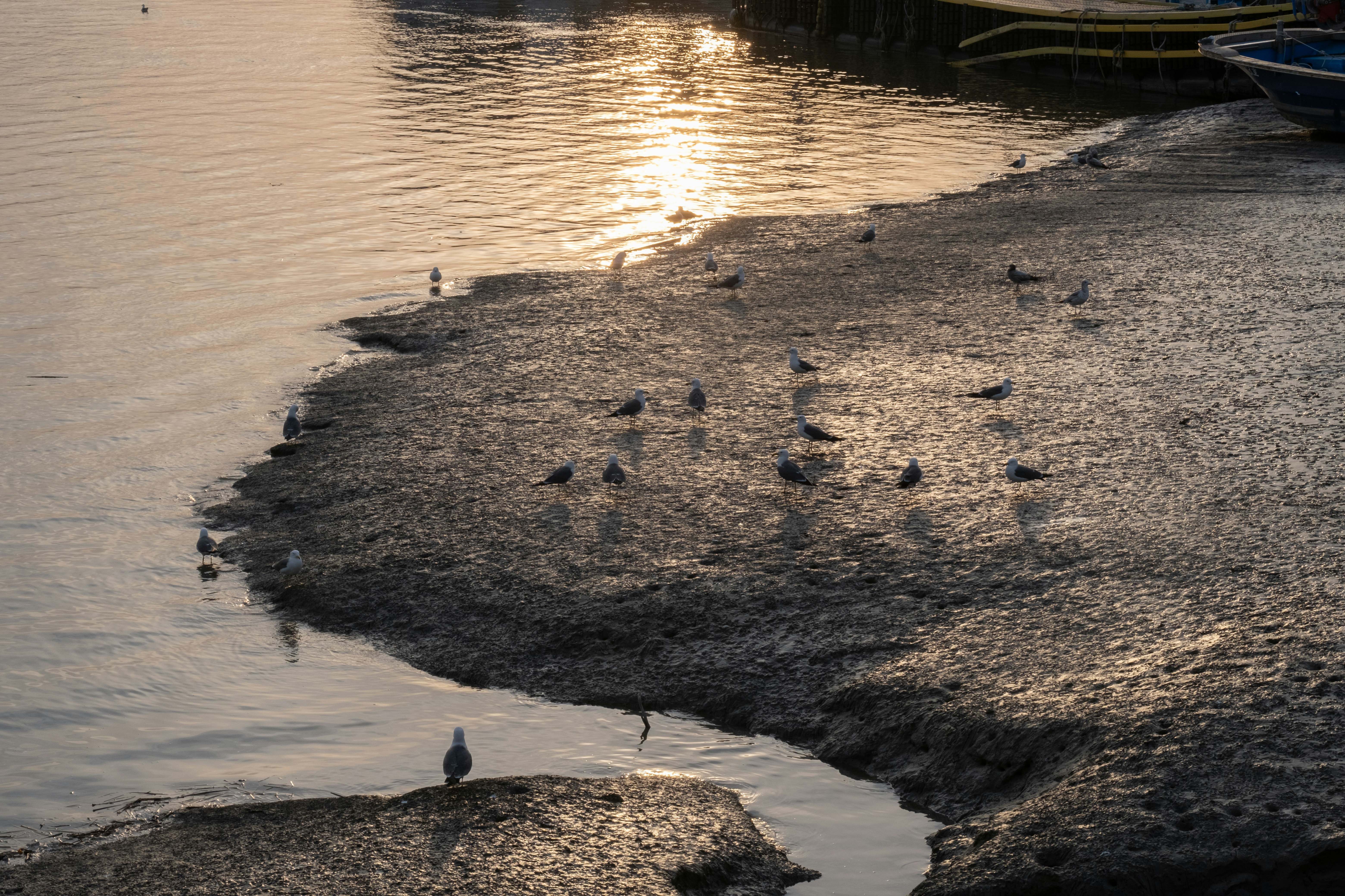 Photo by the1stcircle