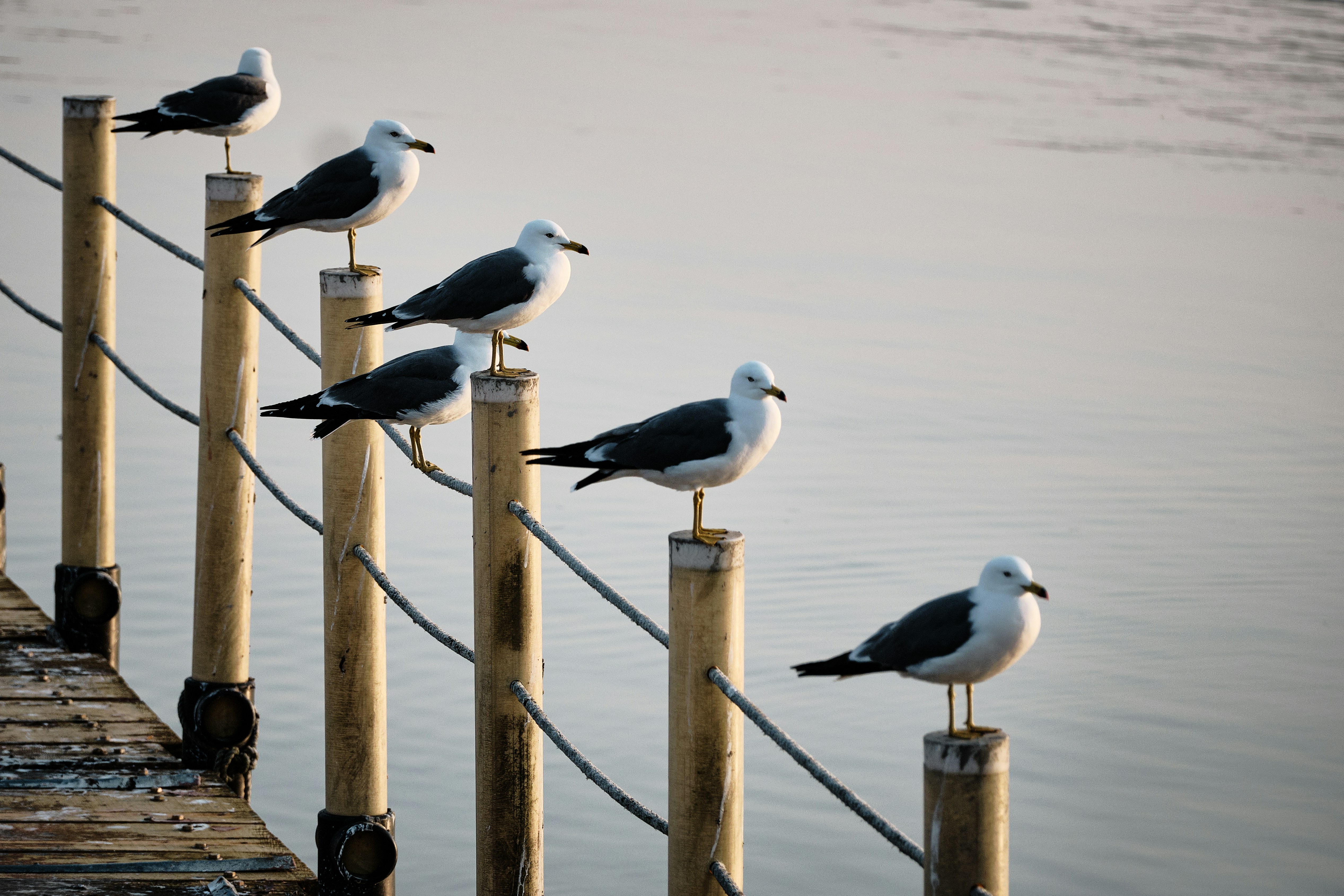 Photo by the1stcircle