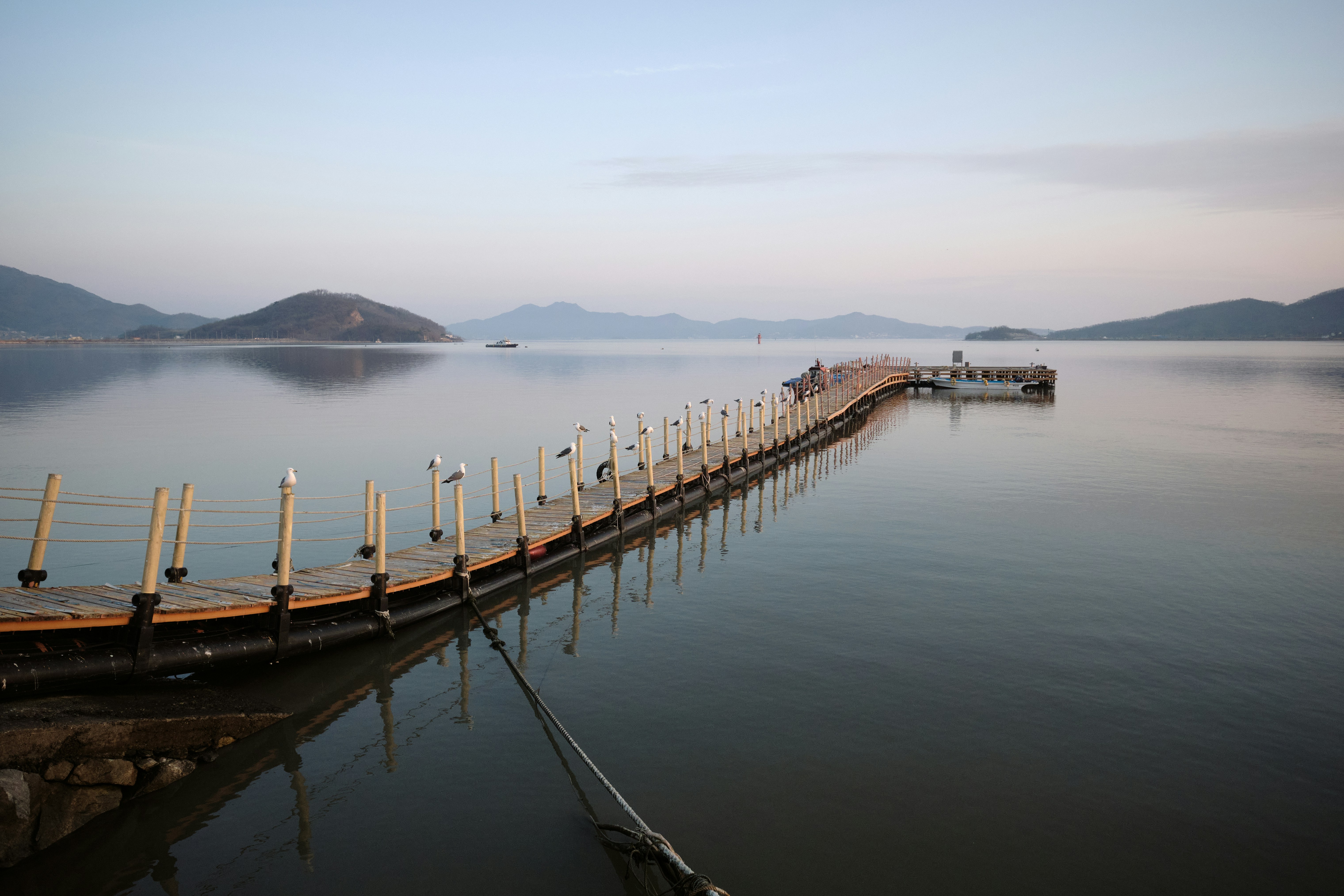 Photo by the1stcircle