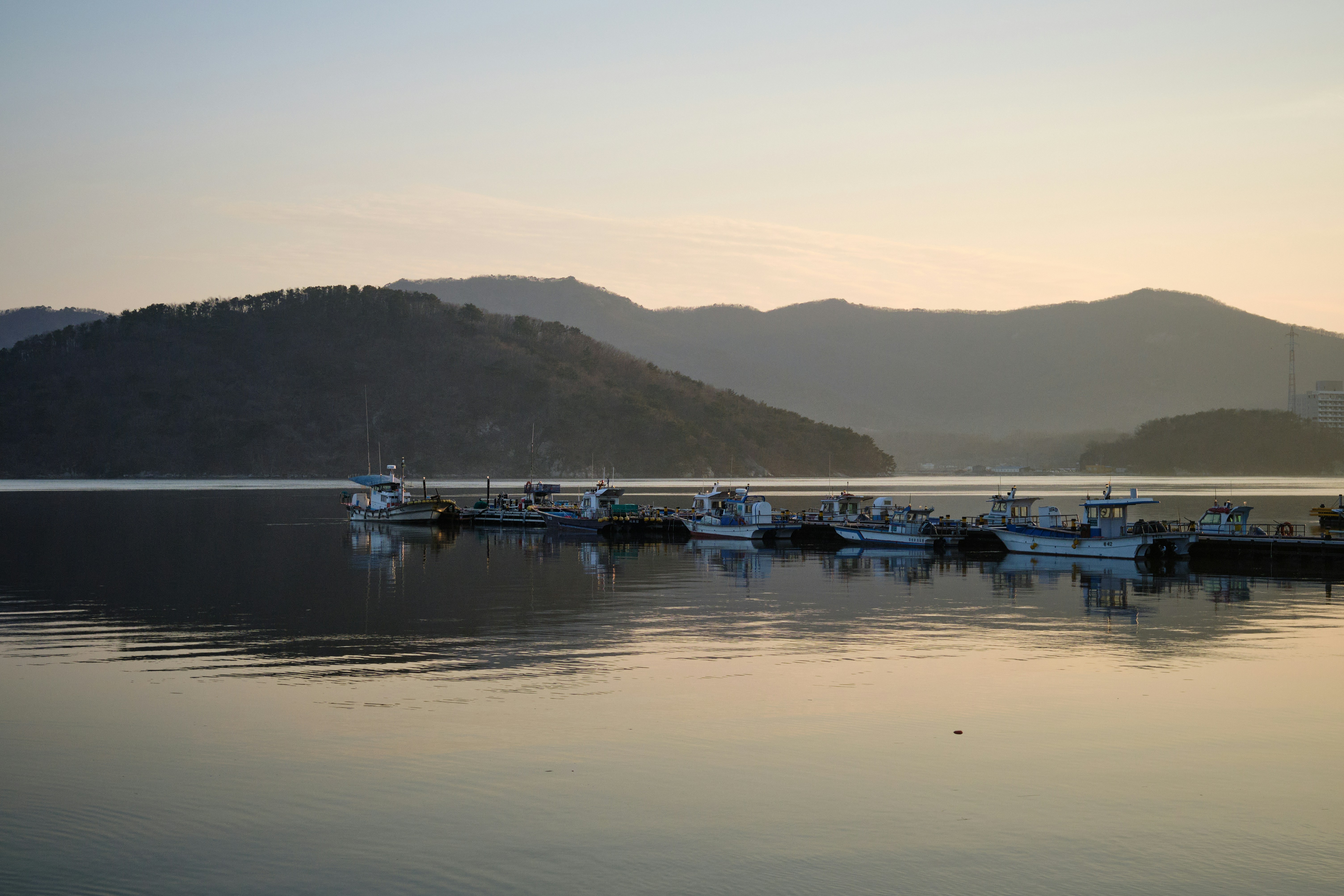 Photo by the1stcircle