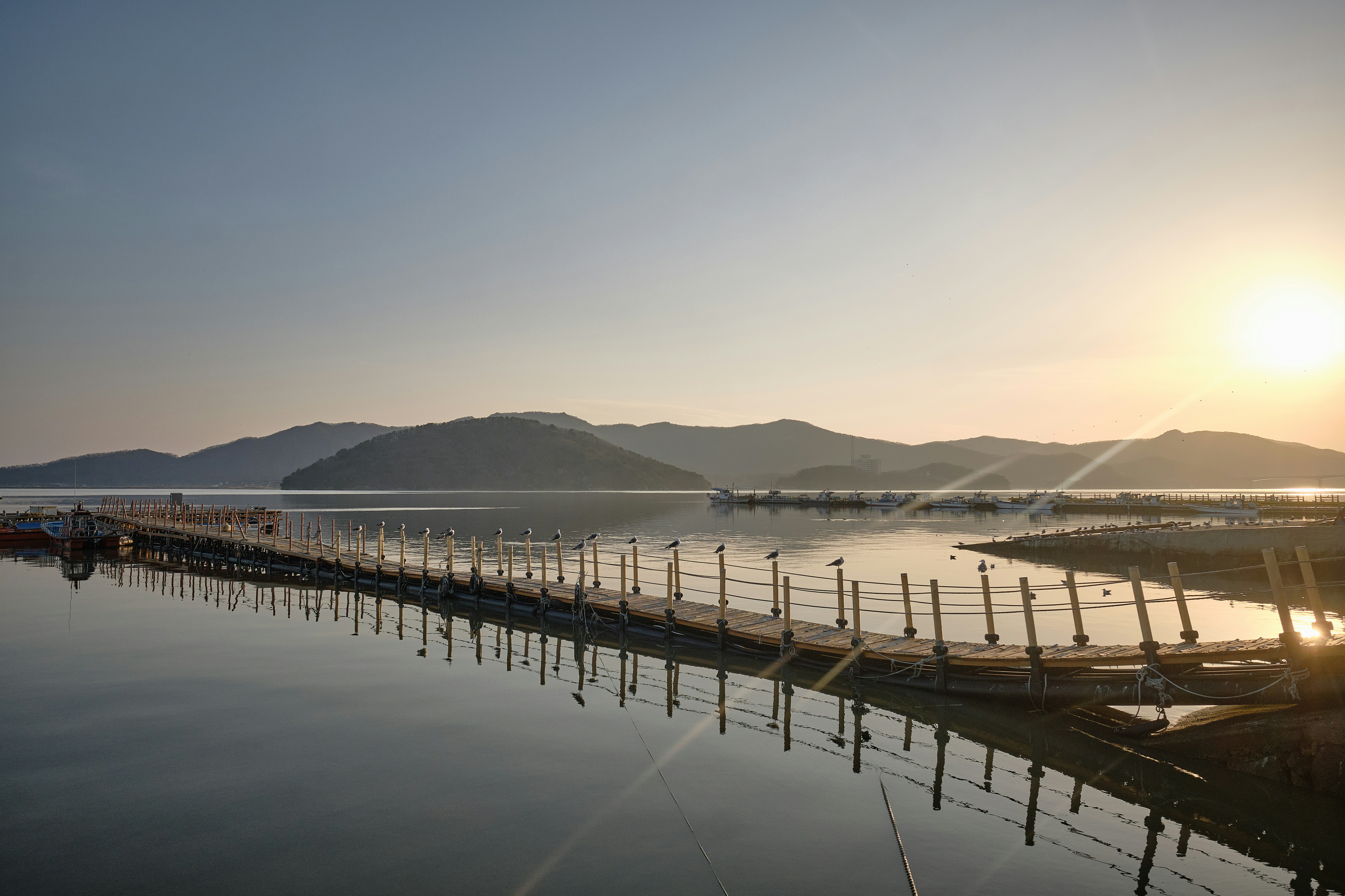 Photo by the1stcircle