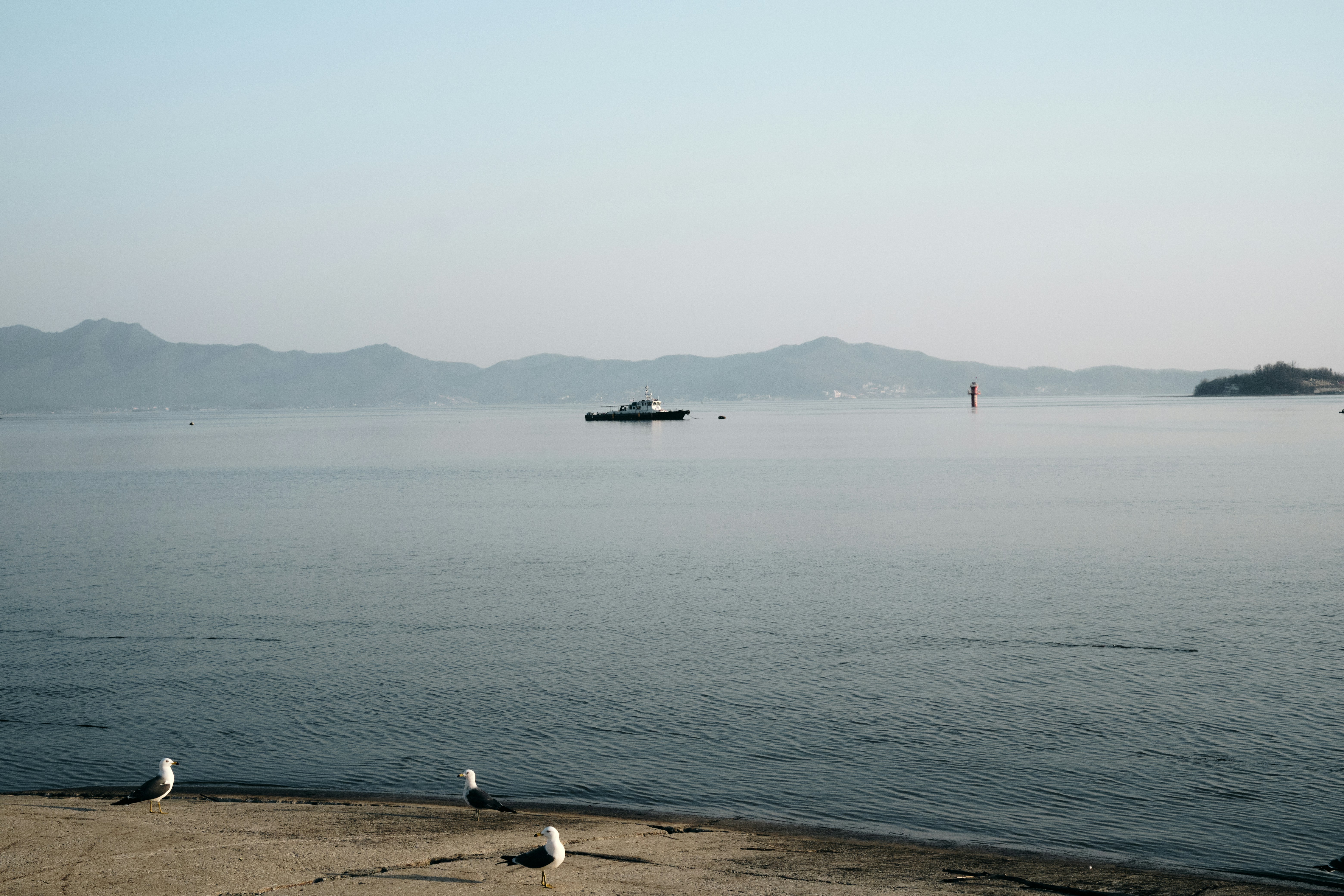 Photo by the1stcircle