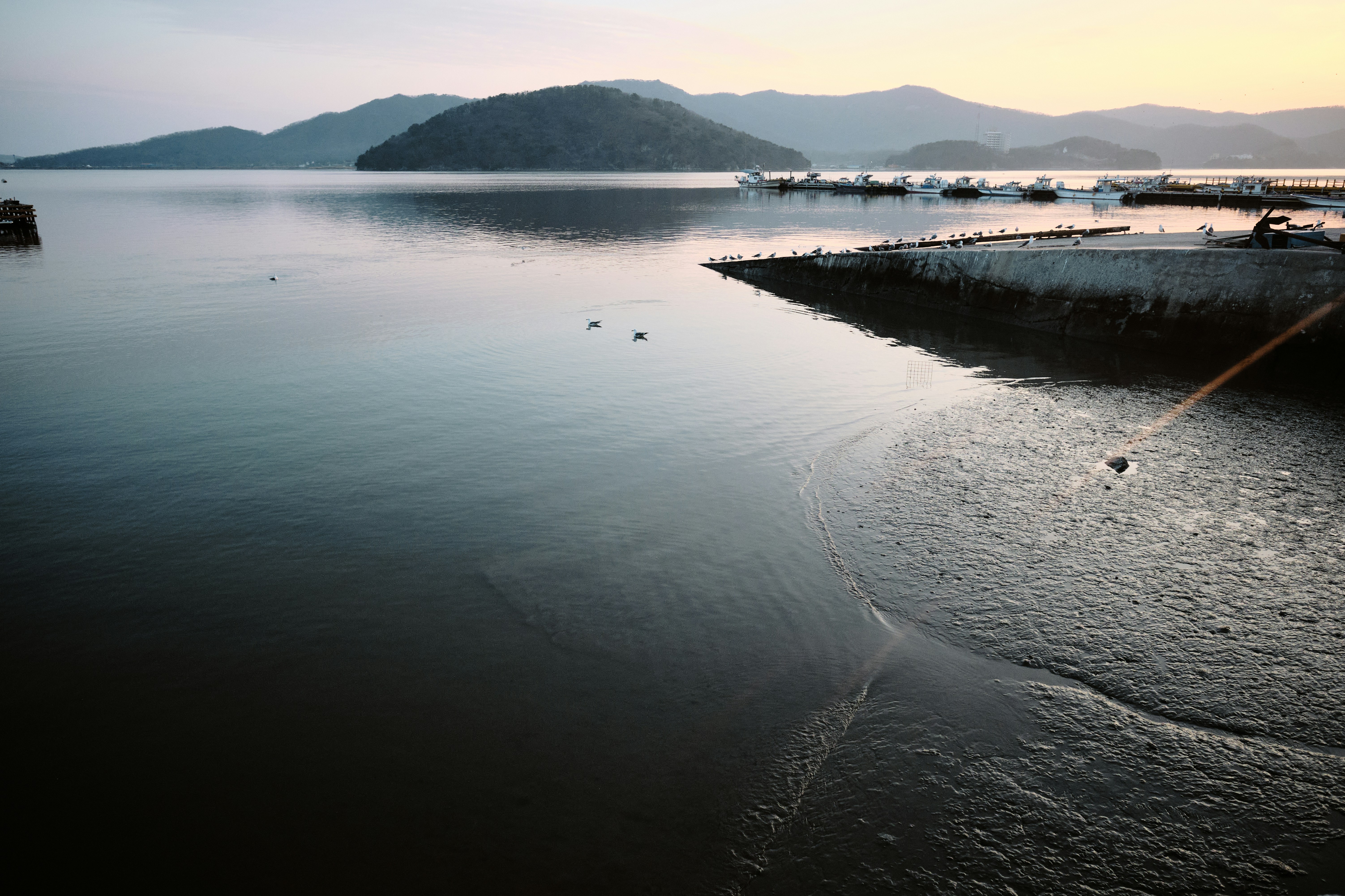 Photo by the1stcircle