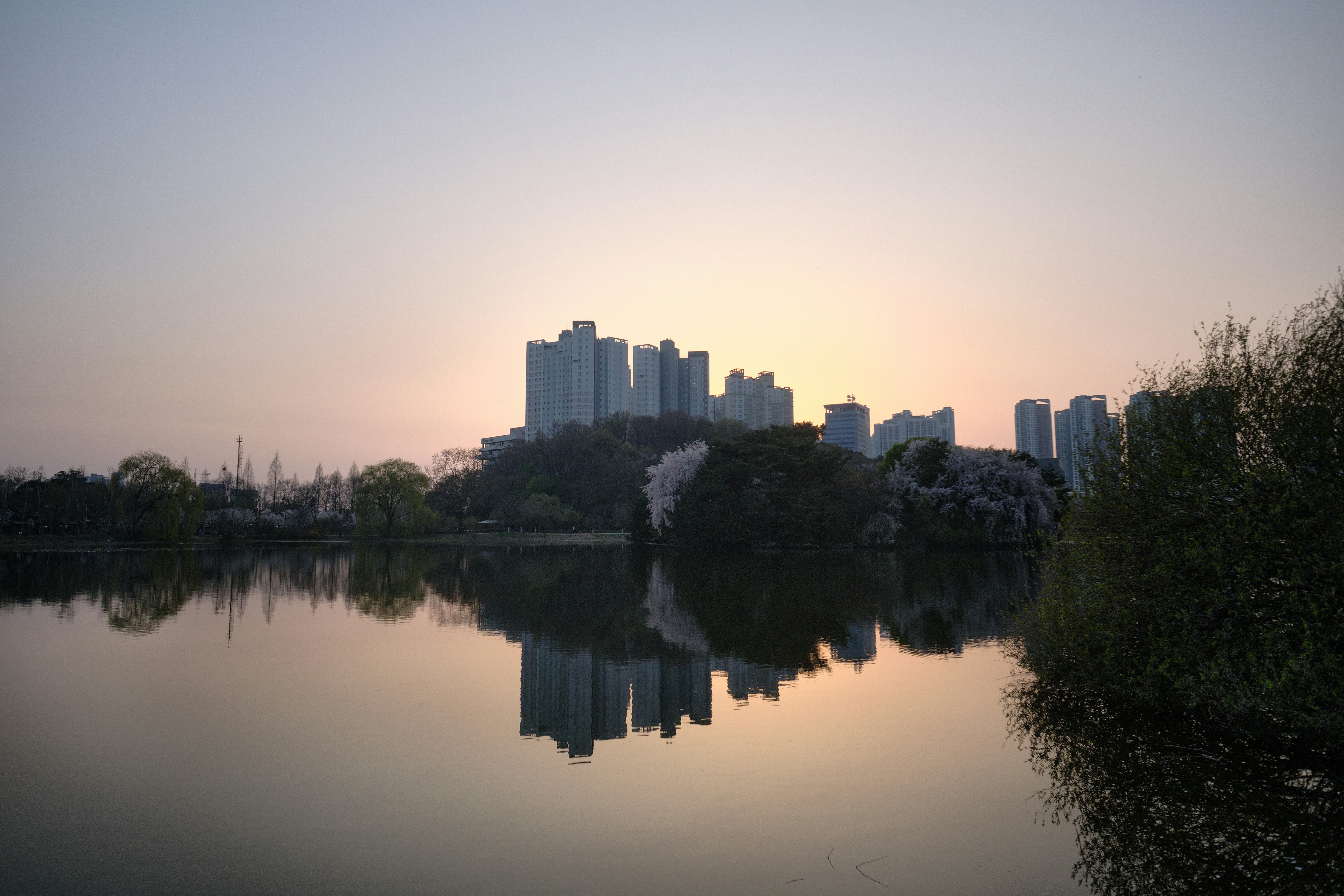 Photo by the1stcircle