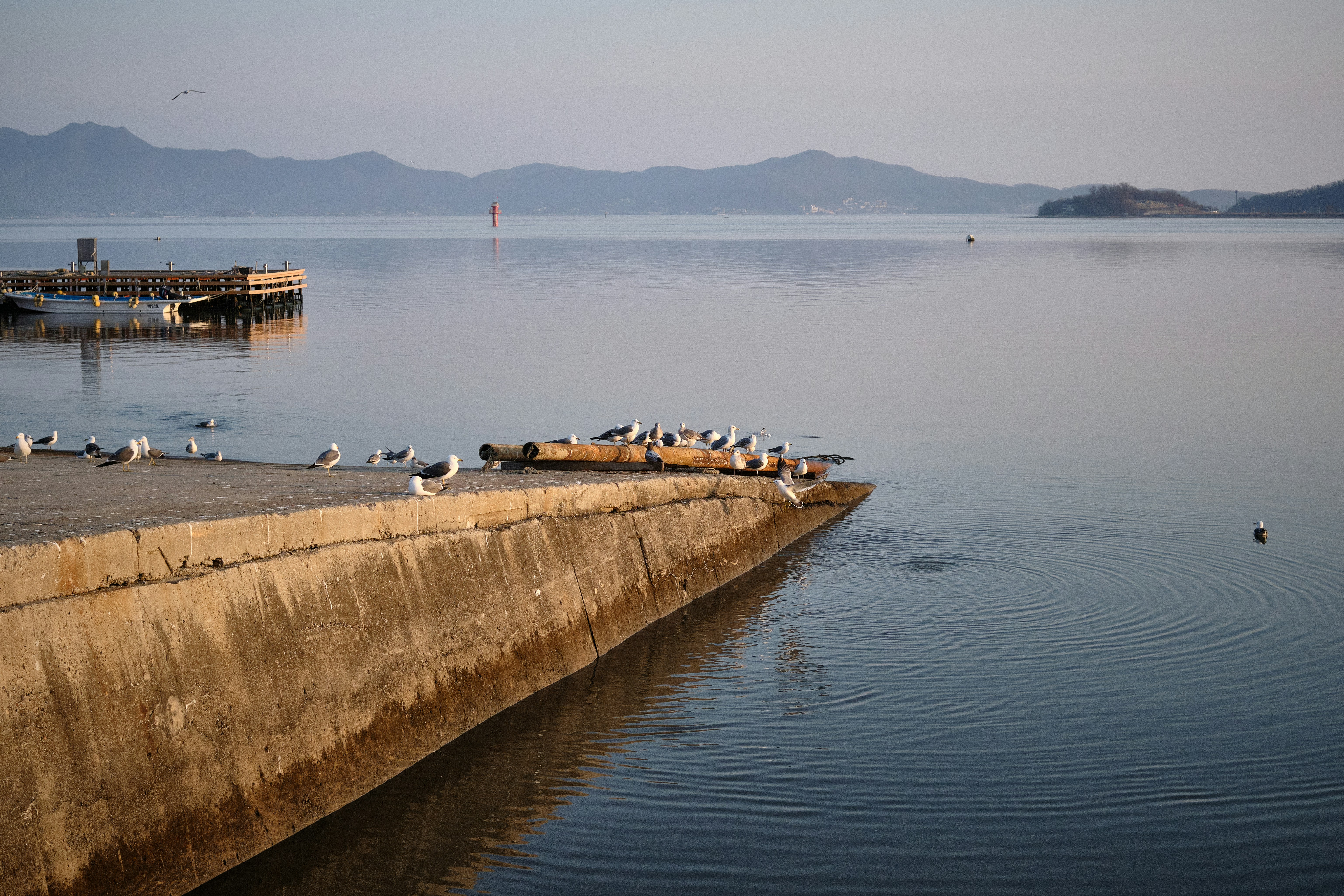 Photo by the1stcircle