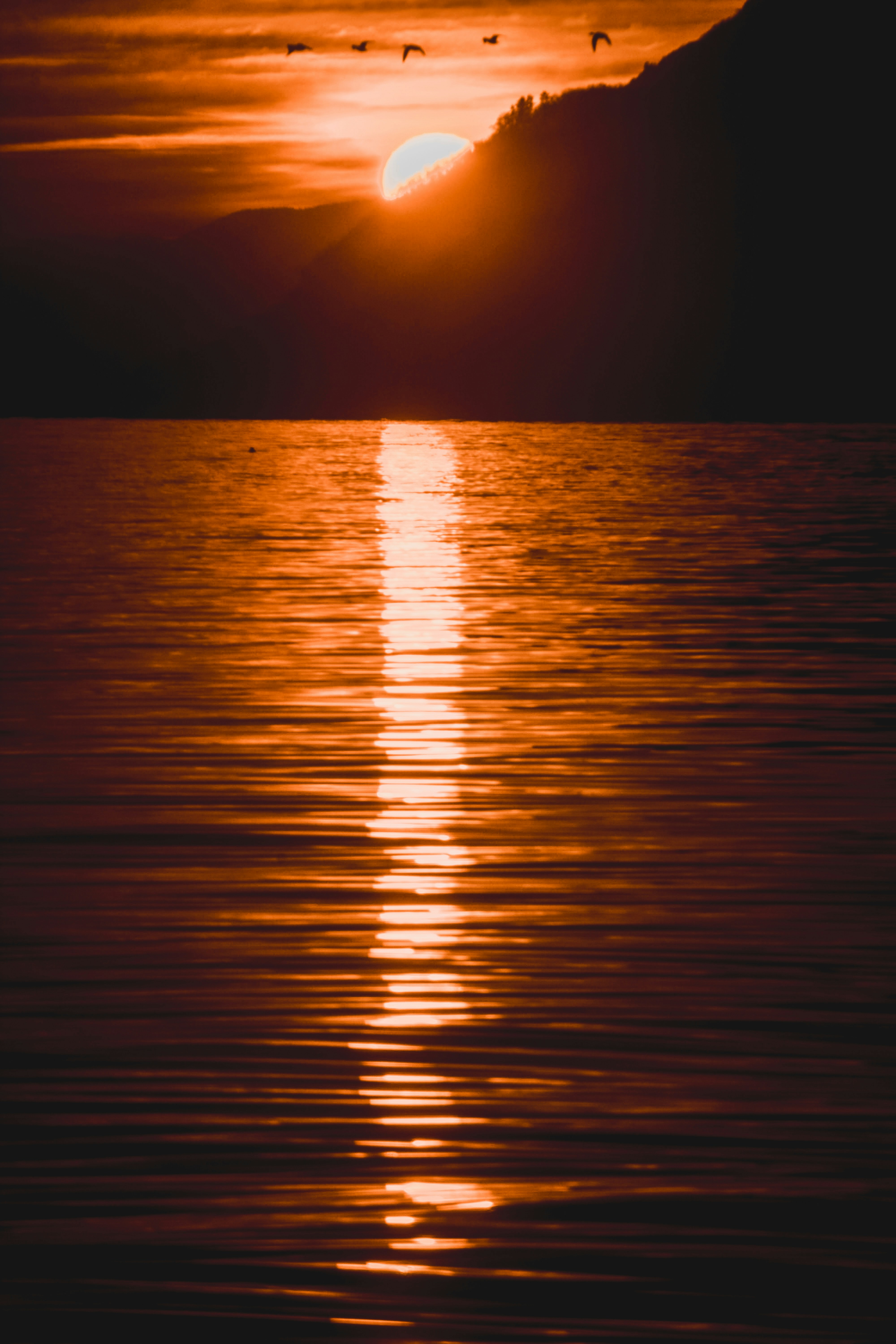 Photo by miguel_ind0