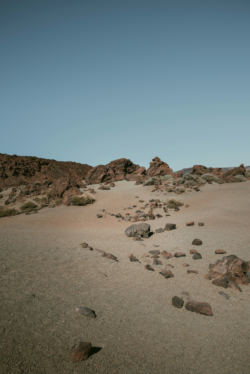 a sandy area with rocks and grass on the ground