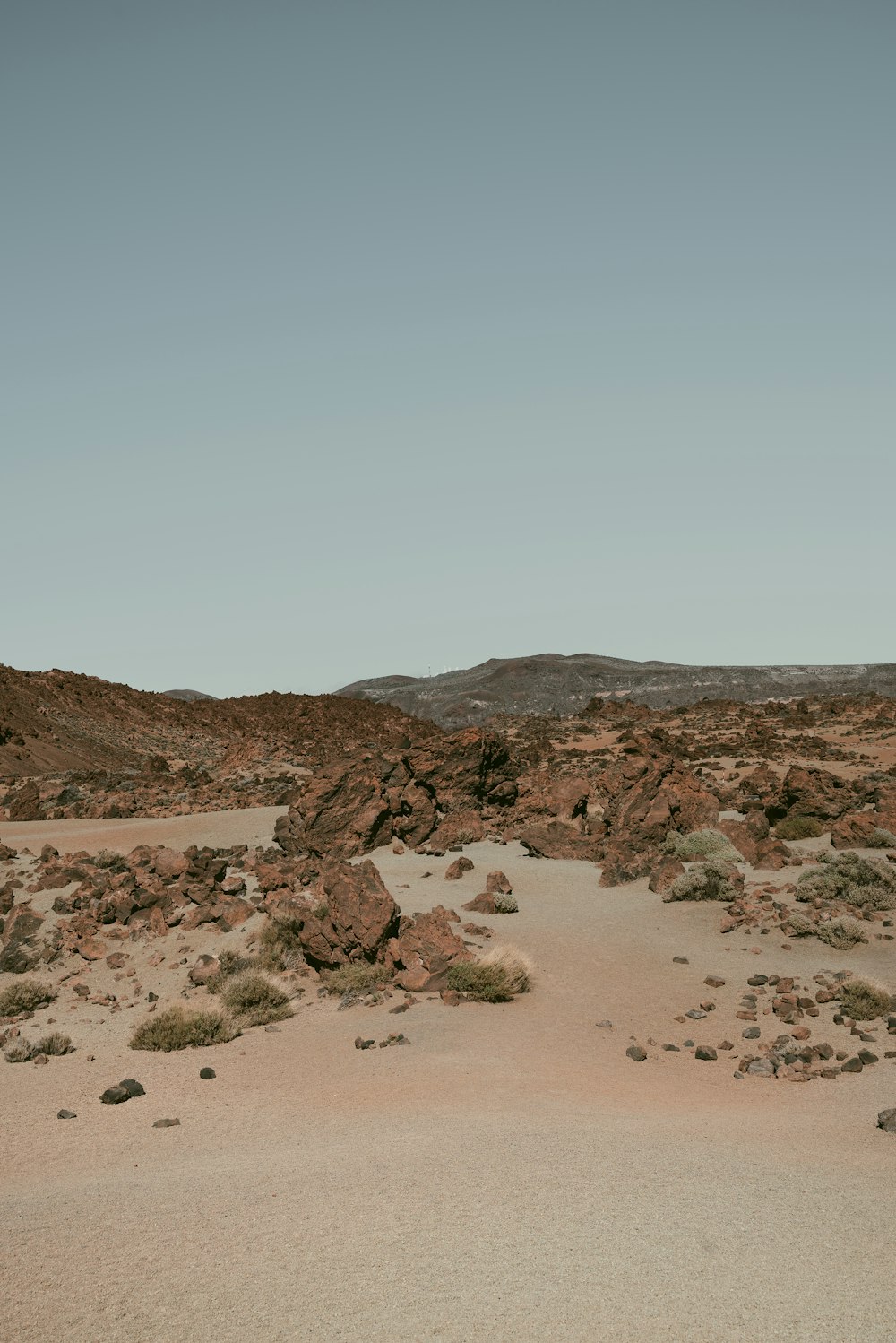 a dirt field with rocks and plants in it