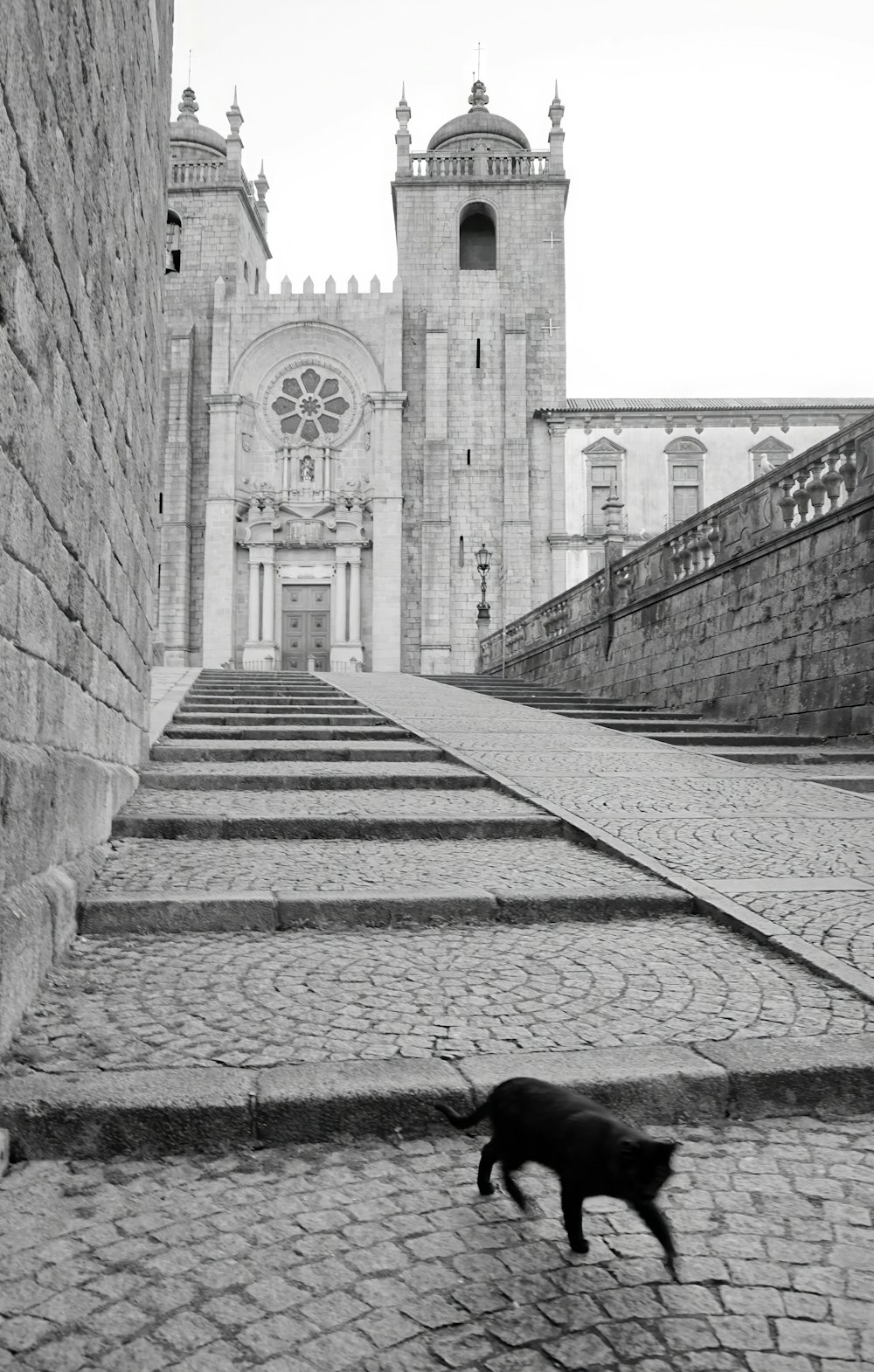 a black cat walking down some steps in front of a building