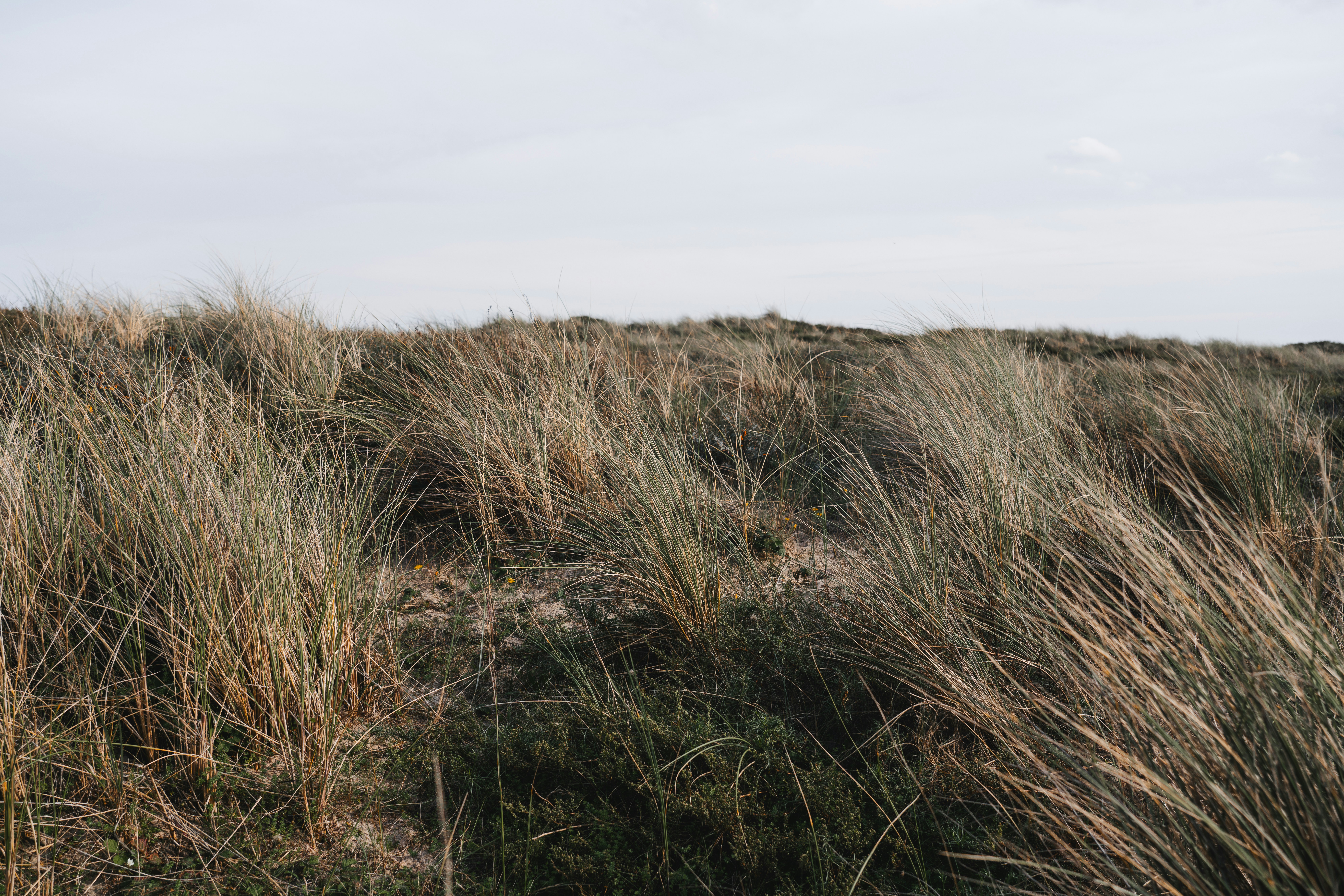 Photo by ggfotografie