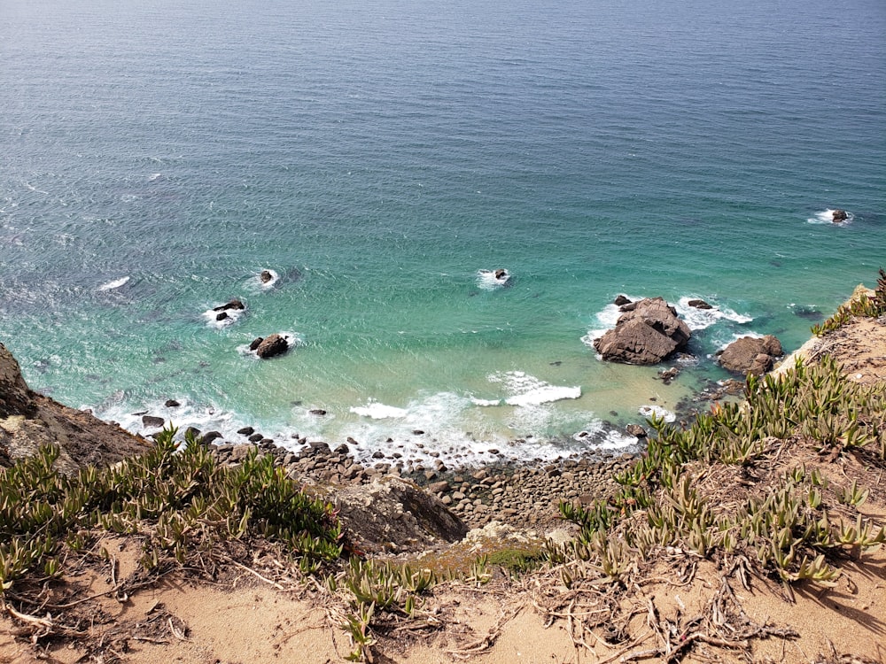 a body of water surrounded by rocks and plants