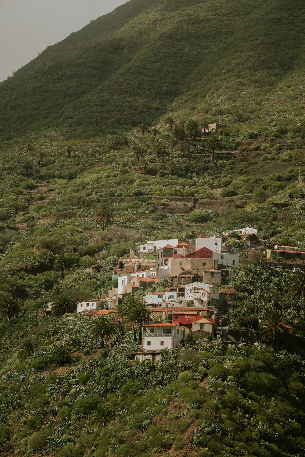 a hillside with a small village on top of it