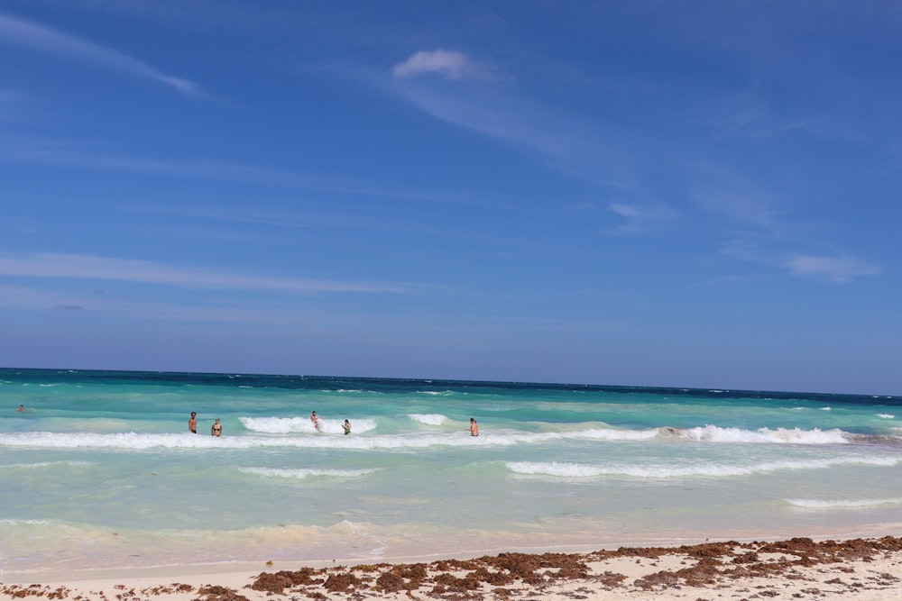 a group of people standing on top of a beach next to the ocean