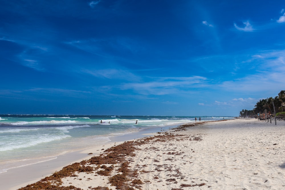 a sandy beach with people walking on it