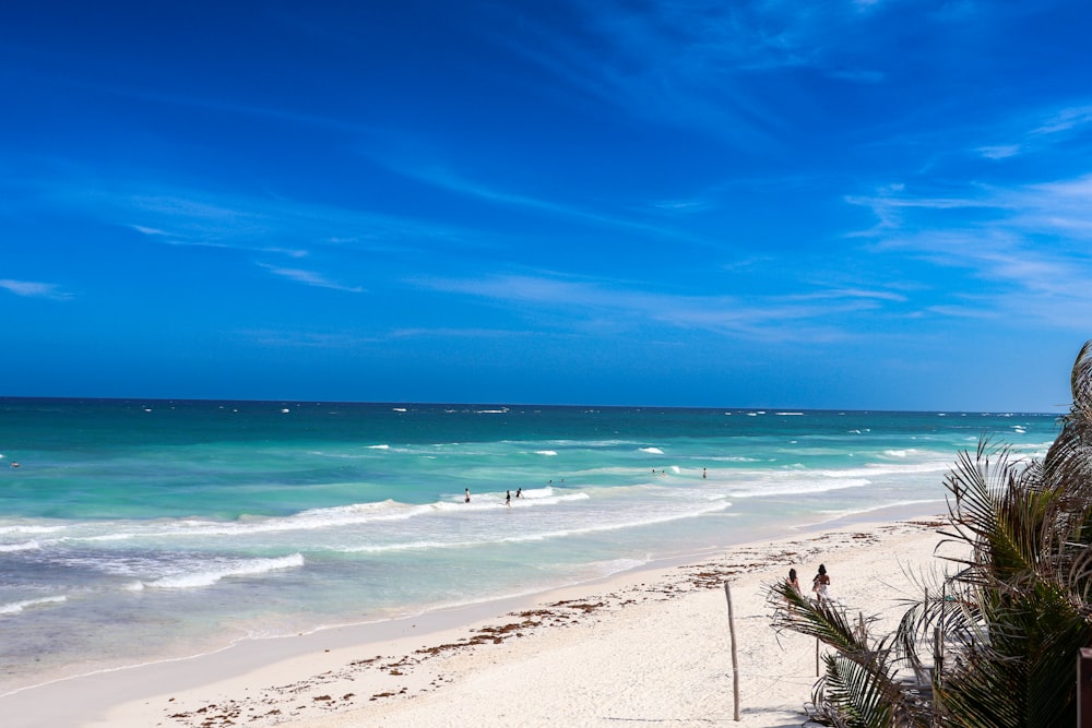 a view of a beach with people in the water