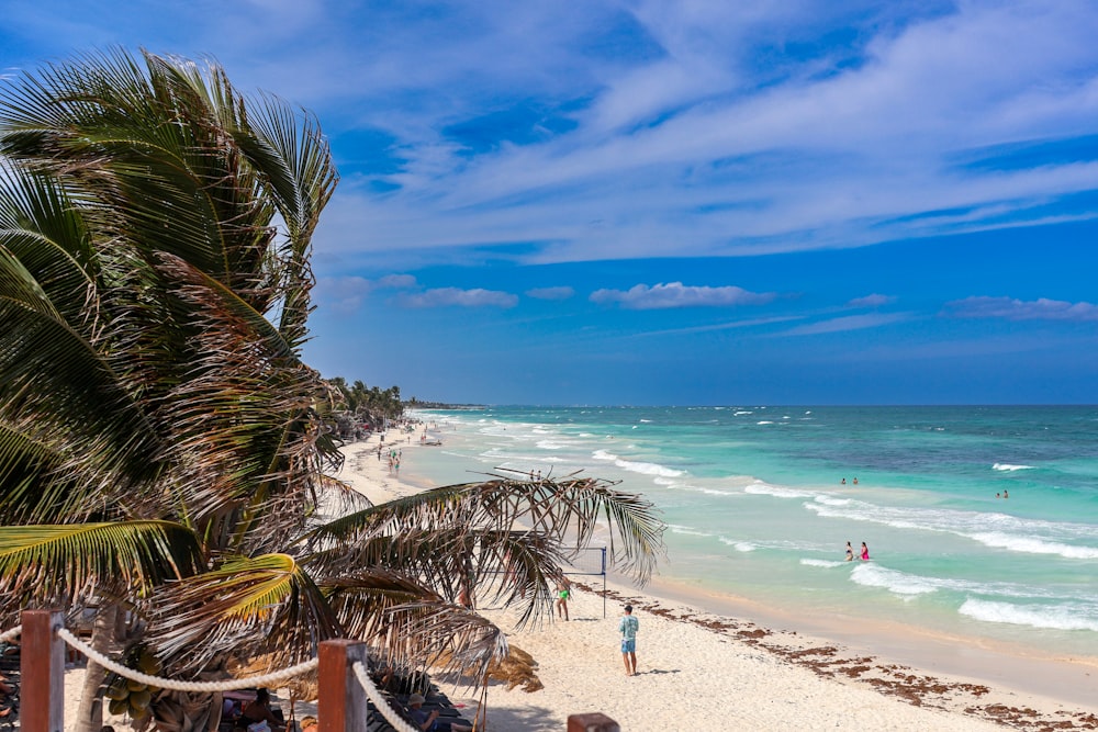 a sandy beach with people walking on it