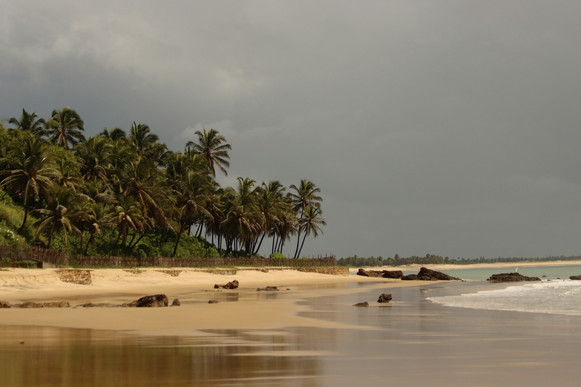 a sandy beach with palm trees on a cloudy day