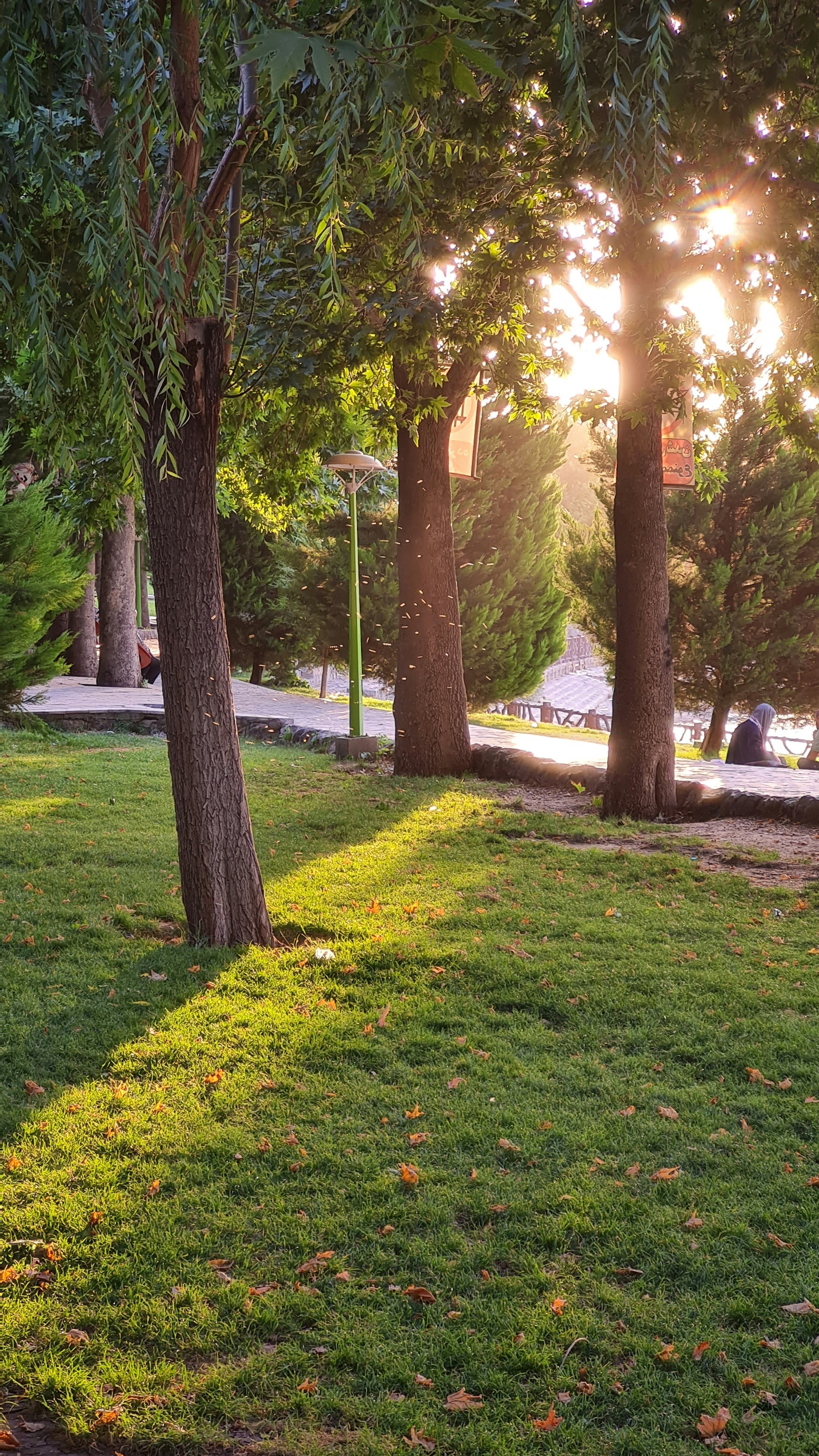 Photo by rezanoori_net