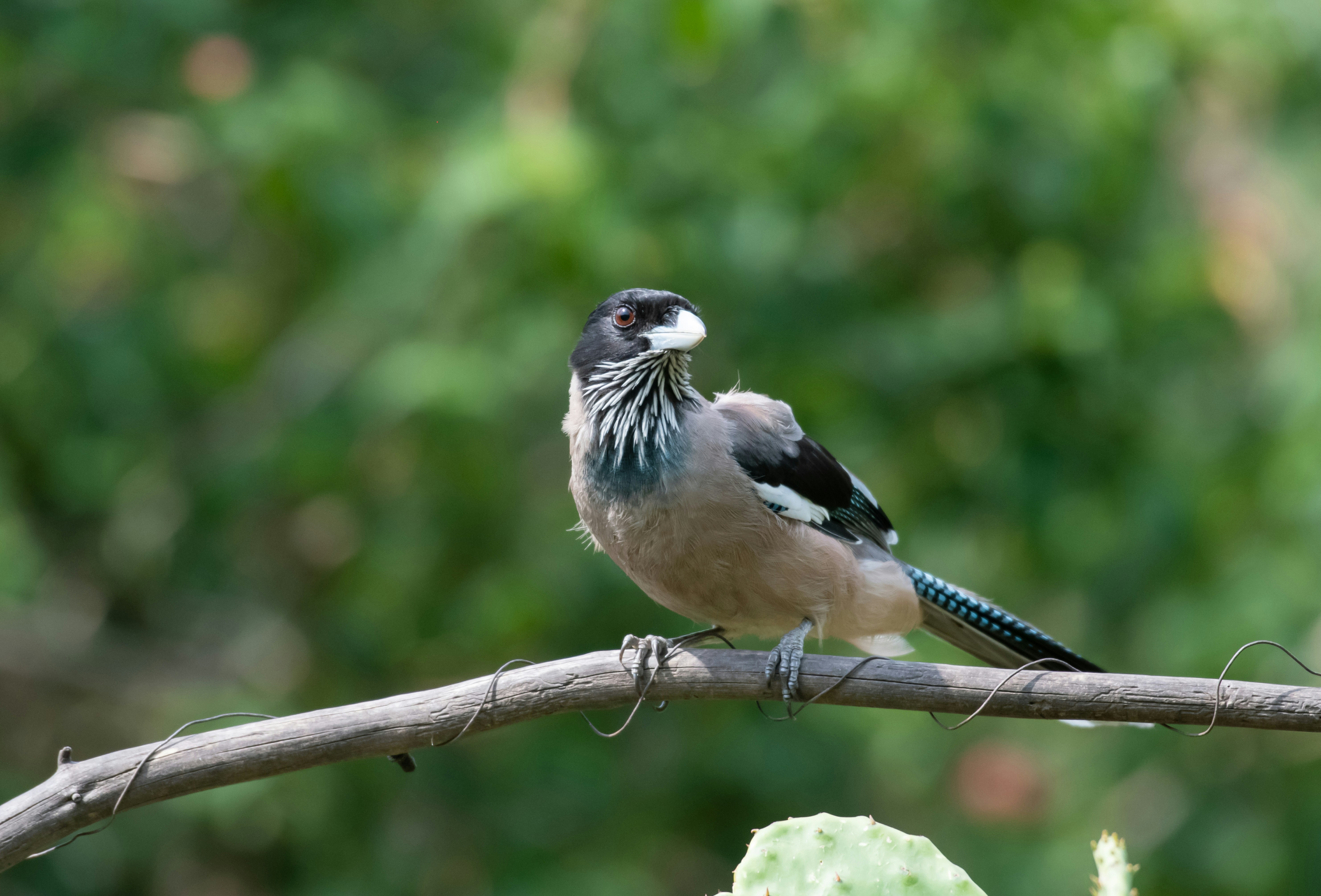 Photo by mhphotography13