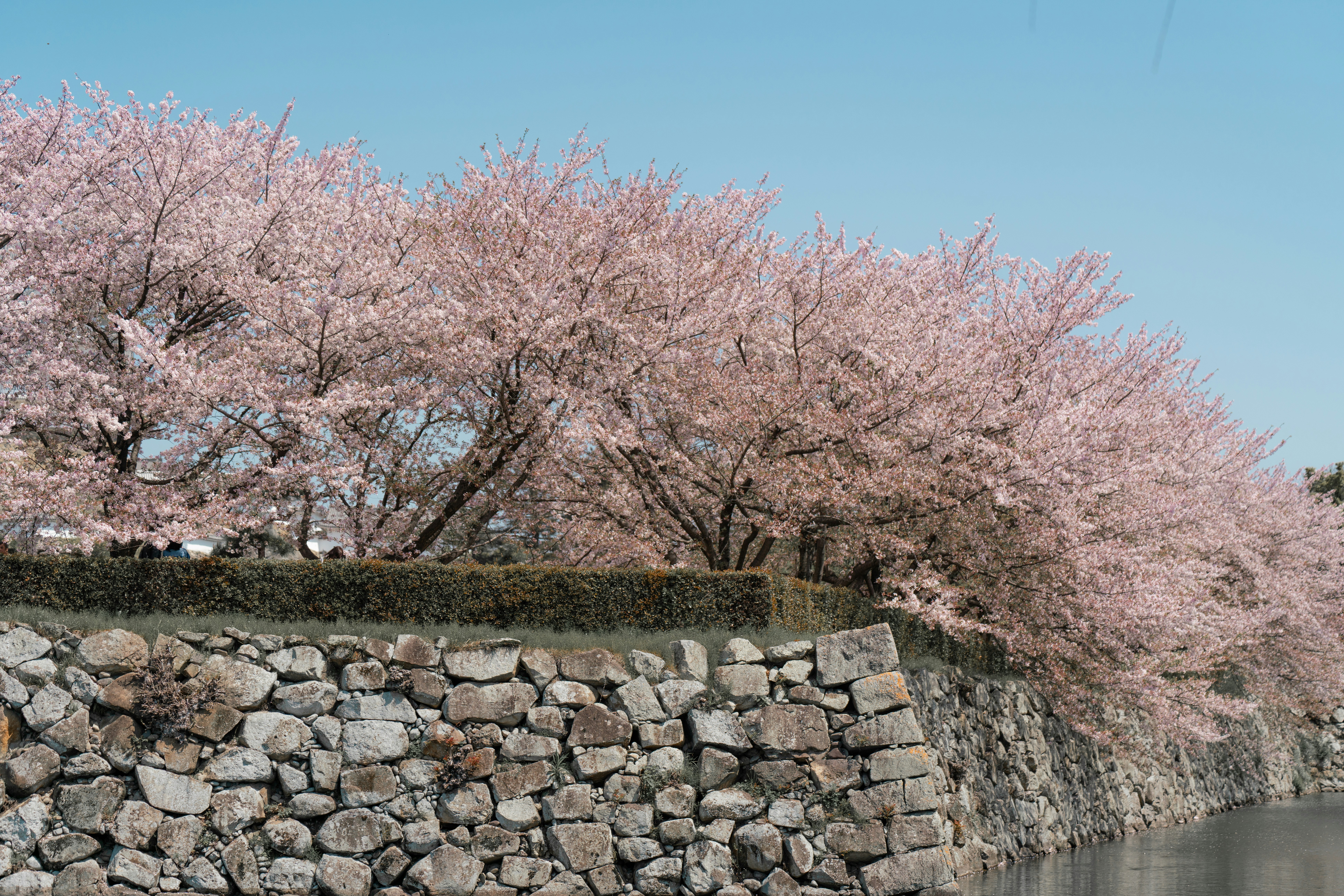 a stone wall next to a body of water