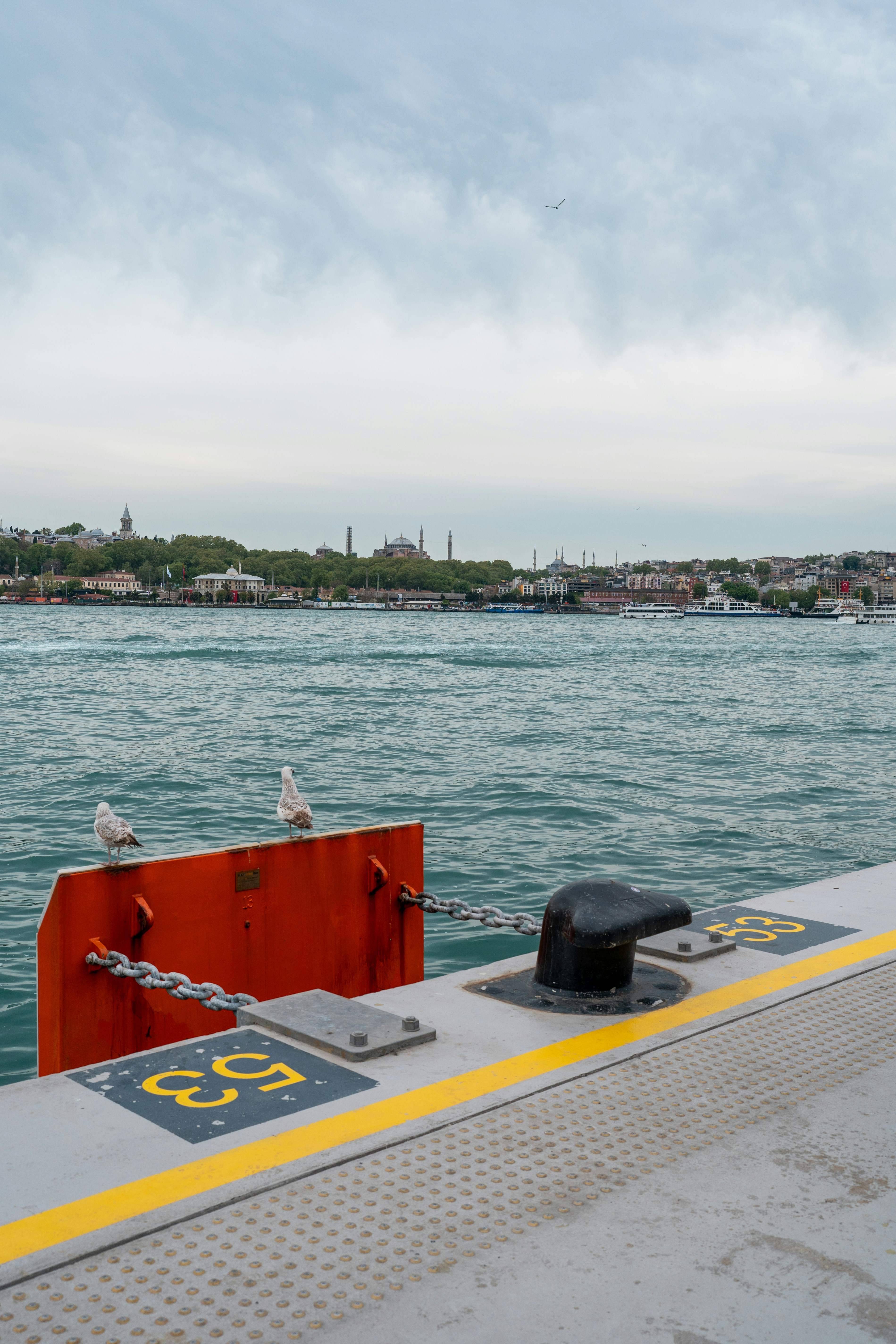 Möwen sitzen auf einem Boot im Wasser