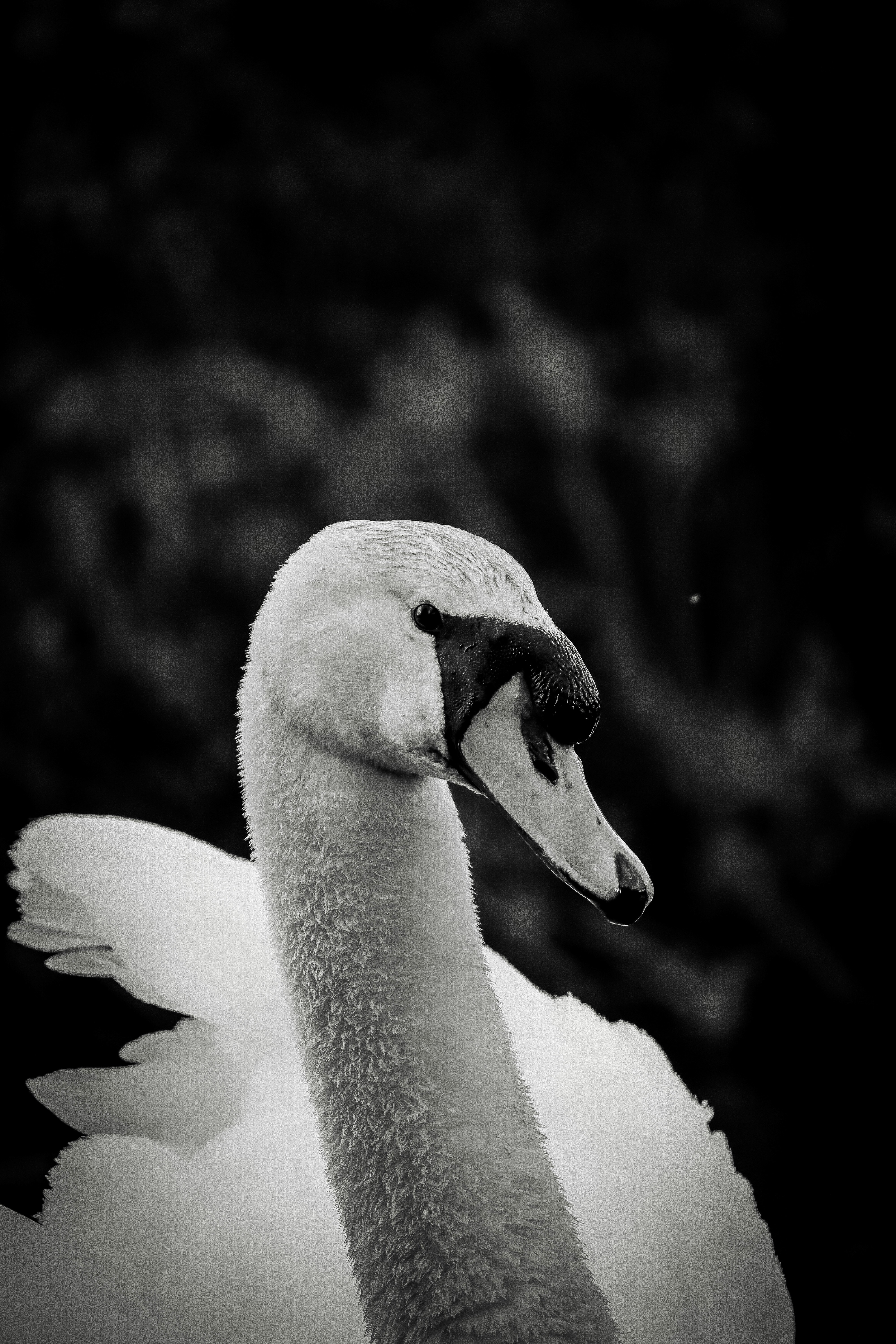 Photo by johnnygthorpe11