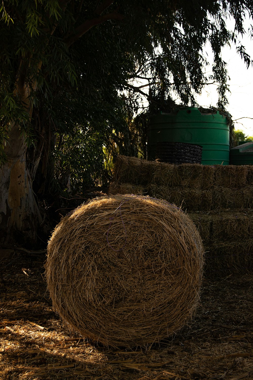 hay bales in a field with a tractor in the background