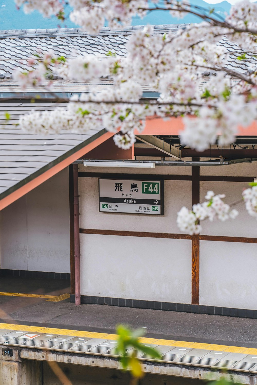 une gare avec des cerisiers en fleurs au premier plan