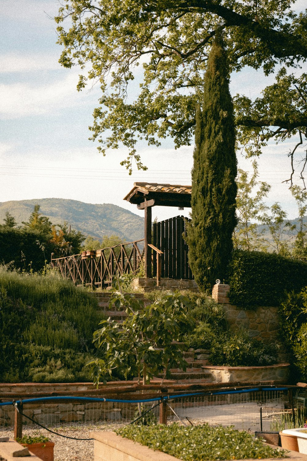 a gazebo in the middle of a lush green field