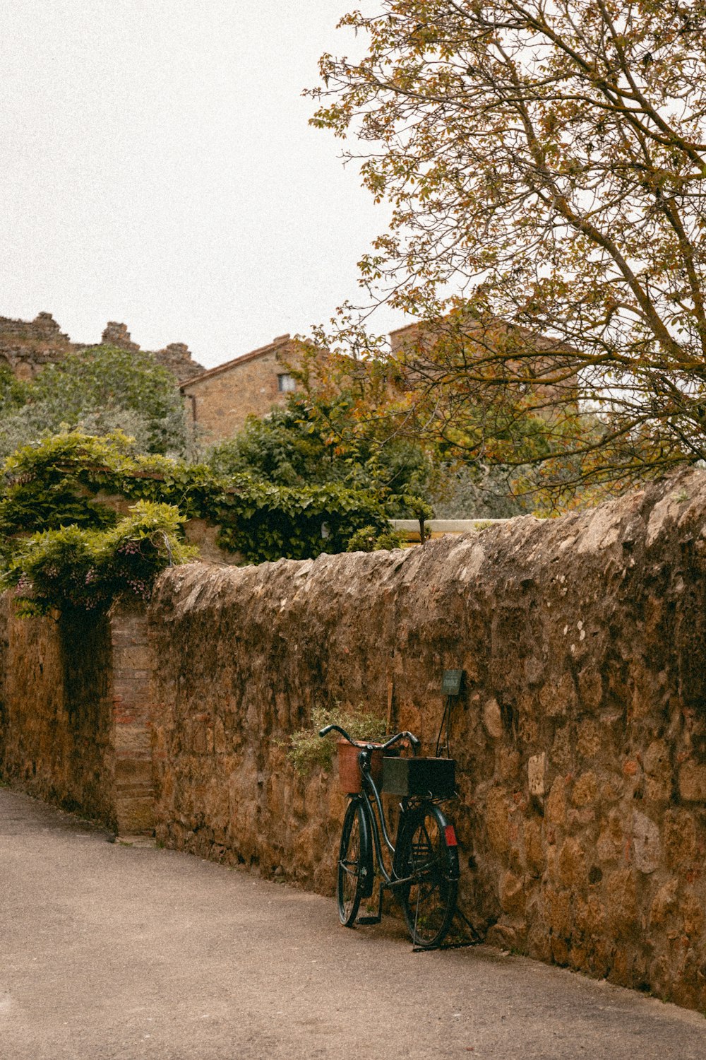 a bike leaning against a stone wall next to a tree