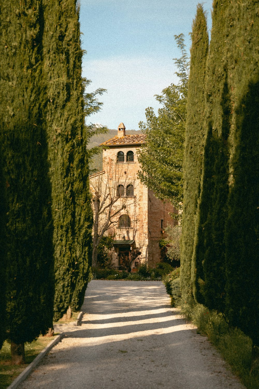 a stone building surrounded by tall trees