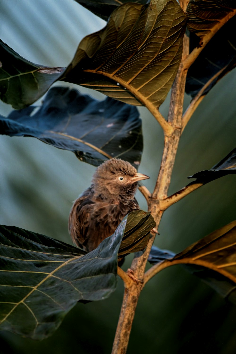 a small bird perched on a tree branch