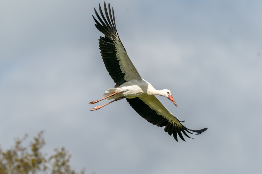 a large white bird flying through a cloudy sky