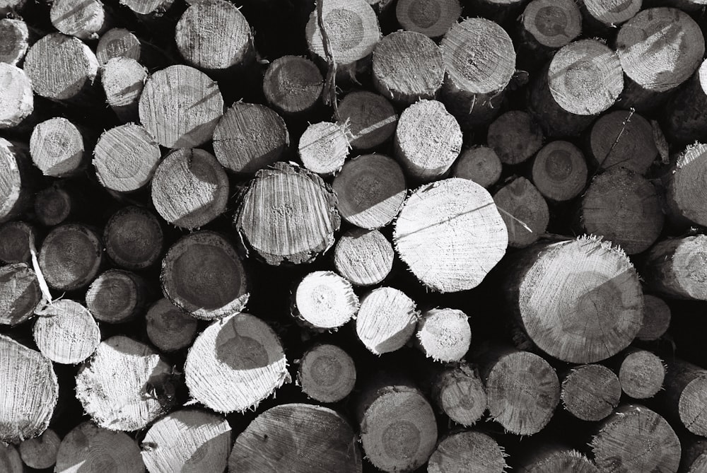 black and white photograph of logs stacked on top of each other
