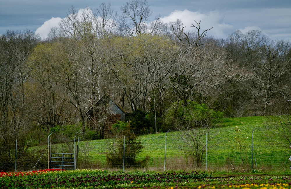 a field with a house and trees in the background
