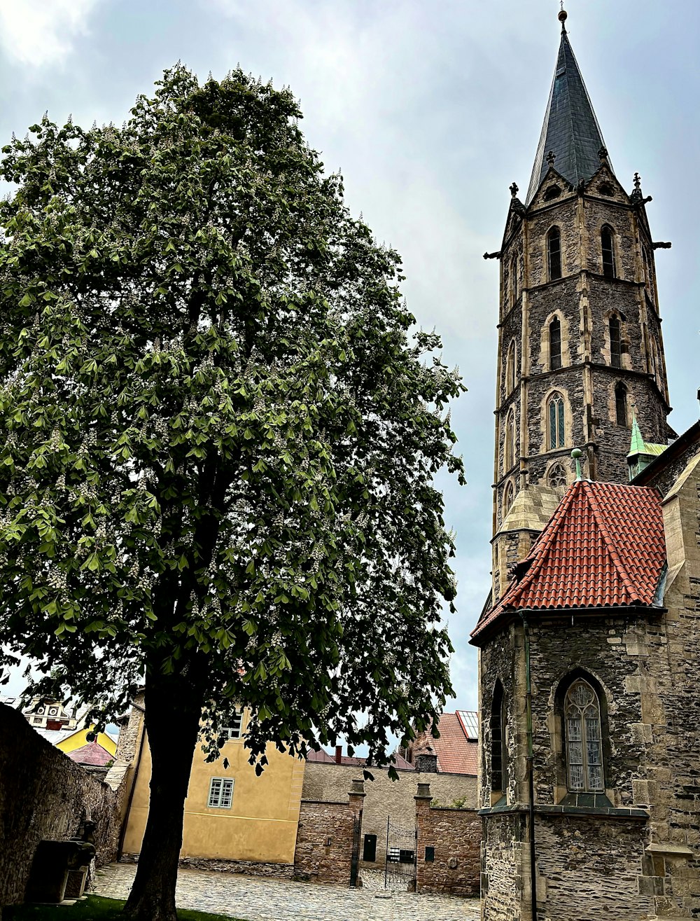an old church with a tree in front of it