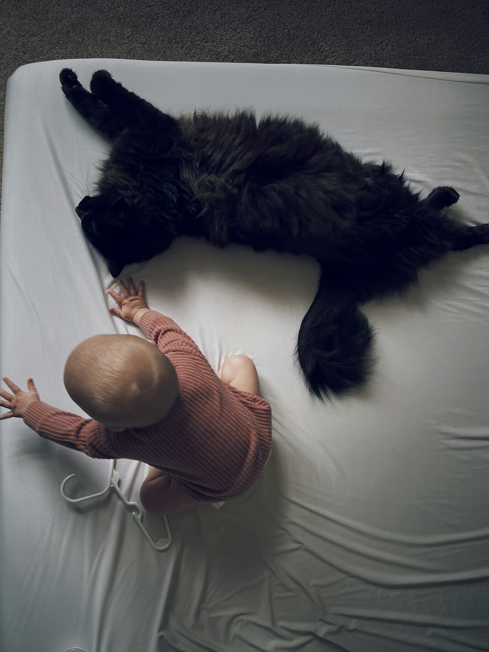a baby is playing with a cat on a mattress
